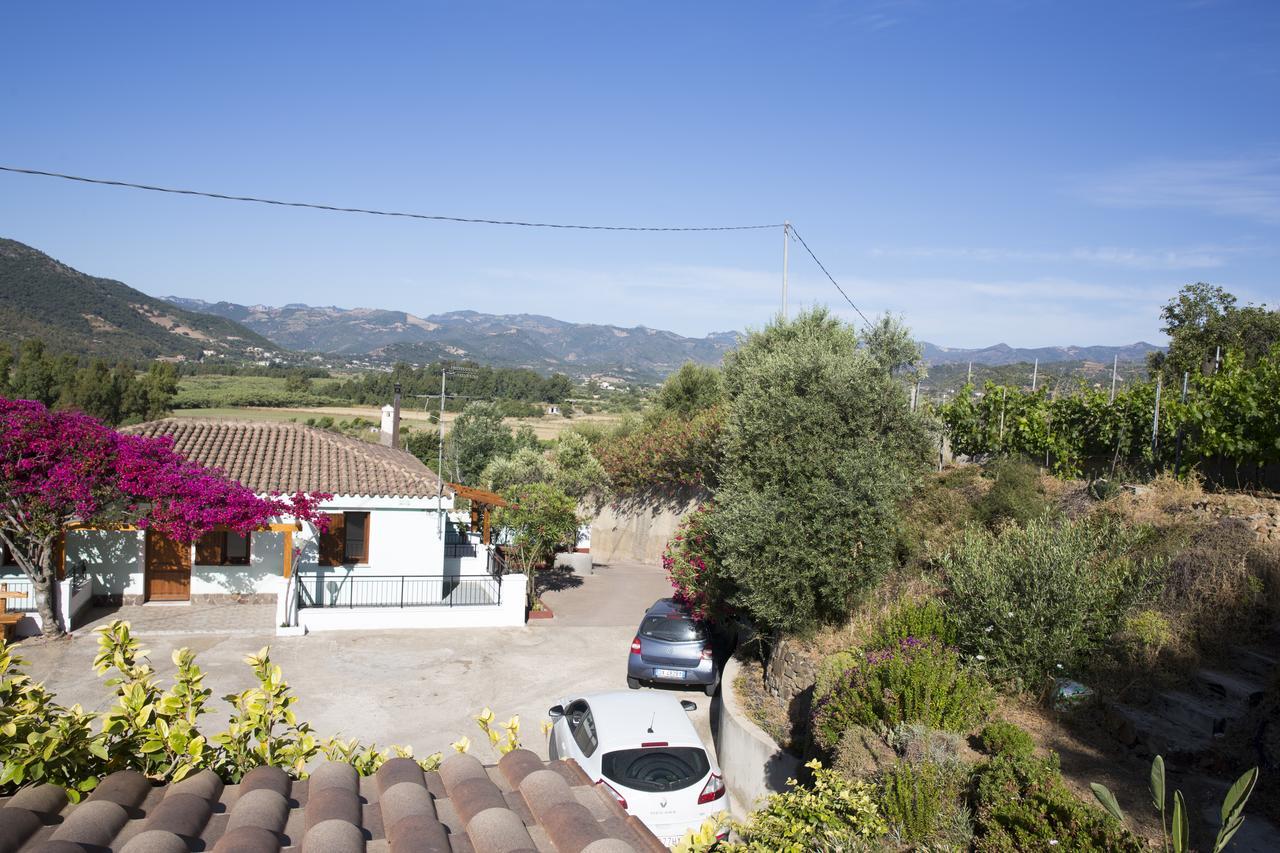 La Corte Degli Ulivi Cardedu Exteriér fotografie